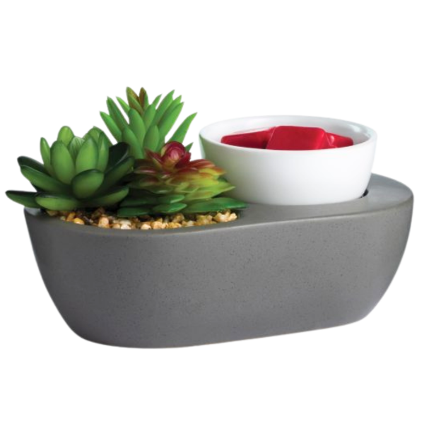 succulents amarillo ArtScents Succulent Wax Warmer