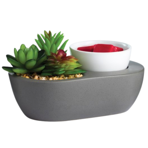 ArtScents Succulent Wax Warmer